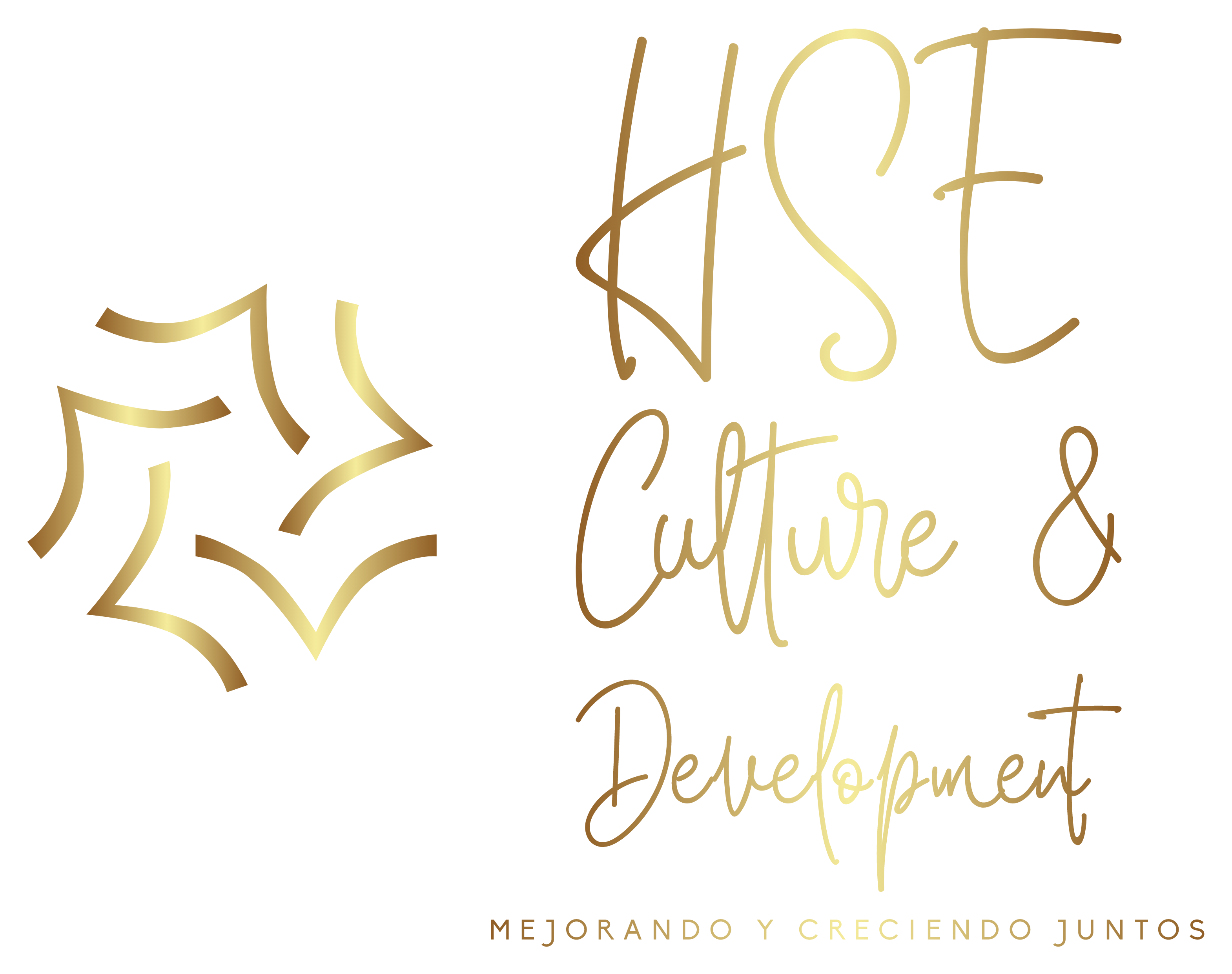 HSE Culture & Development